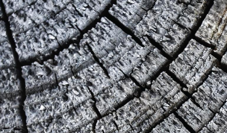 Објављено ново монографско издање Етнографског института САНУ